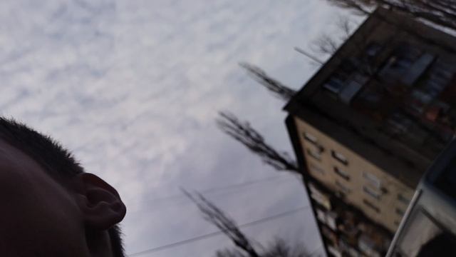 меня хотят съесть знаменитости