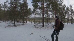 Дорога до глухариного тока на лыжах. Установка фотоловушки 21 марта 2026 года