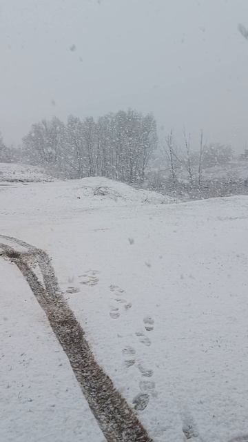 Опять пришла зима 10.04.26г.