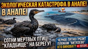 ЧЕРНАЯ СМЕРТЬ В АНАПЕ: Море выносит сотни трупов! Шокирующая причина