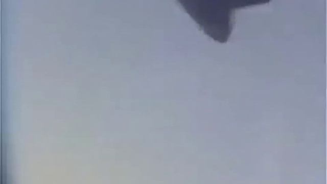 в.Бутусов Одинокая птица смотреть онлайн