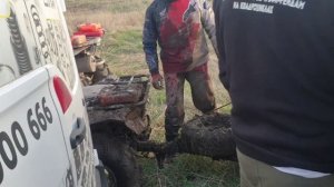 ждём на сакуру 2026