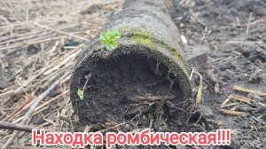 Такие находки решают весь коп!!!