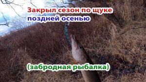 Удачно закрыл сезон жидкой воды щучьими забавами. Осенняя рыбалка