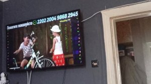 я с Реборном