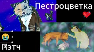 Пэтч и Пестроцветка