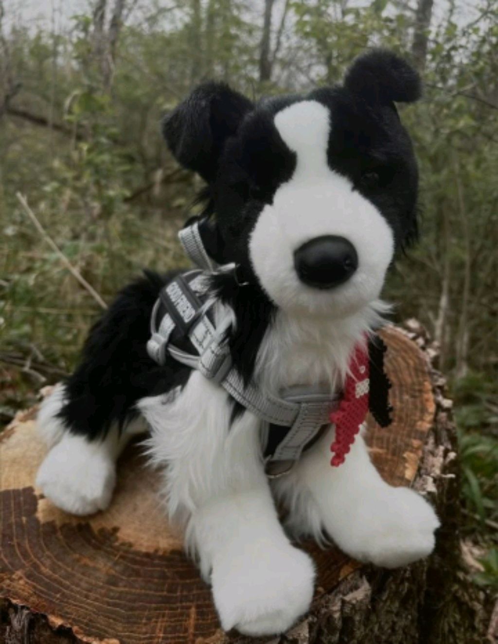 трансляция ( что за погода??!?! )