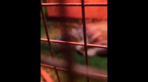 я с сестрой в океанариуме!🐬