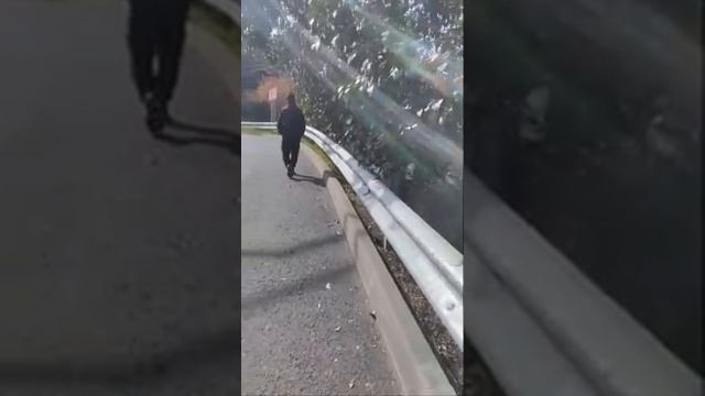 Жизнь с ломбардами у алектов, украл выпил в тюрьму