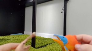 Эволюционные Кенты (документалка 2000)