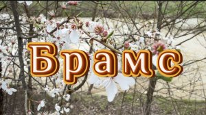 Брамс, Адажио из Сонаты №3, классическая музыка