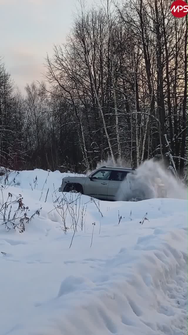 Tank 300, Haval H7, Wey: GWM глазами владельцев