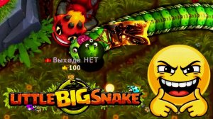🐍Little Big Snake🐞Набираю массу 2,6 миллиона 💖 и убиваю мятежников. 👑😎👍