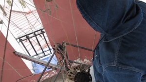 Дмитрий Халтурин, колокольный звон, импровизация на тему Слезы Рахманинова, Никитский храм, Калуга