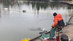 Очередные поимки Форели