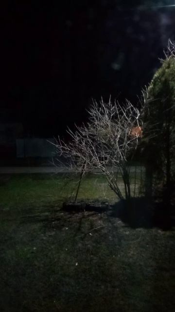 Травля от Виктора и босоты