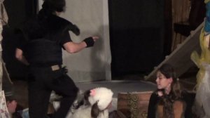 Собаки 1 часть