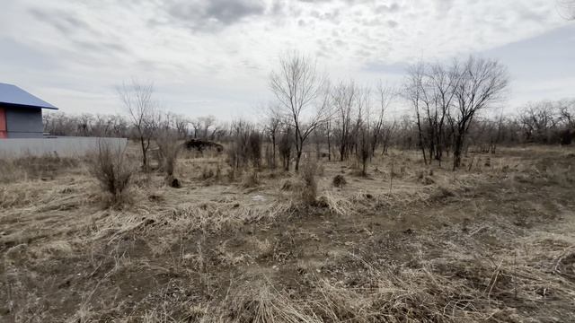 село Бедарево