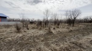 село Бедарево