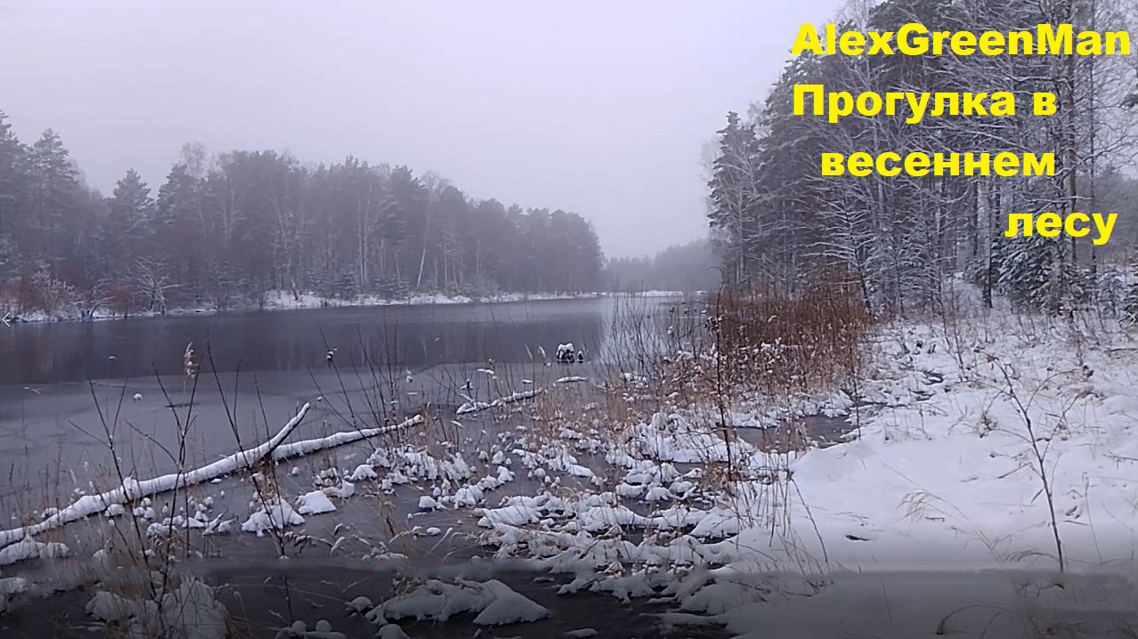 Прогулка в весеннем лесу