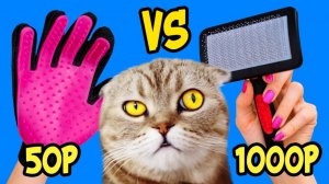 КисКис: Дорого или дешево? 😸🪮 Щетка для шерсти + реакция кошки