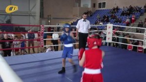 ОТКРЫТОЕ ПЕРВЕНСТВО ПО БОКСУ СШОР ЕДИНОБОРСТВ ПАМЯТИ А. ЧУВАЕВА ПРОХОДИТ В ФОК "СТАРТ" ЖЕЛЕЗНОГОРСКА