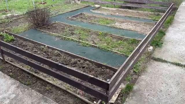 Жизнь вне орхидей-  новость ХОРОШАЯ но из за нее снова ПЛАНЫ меняются