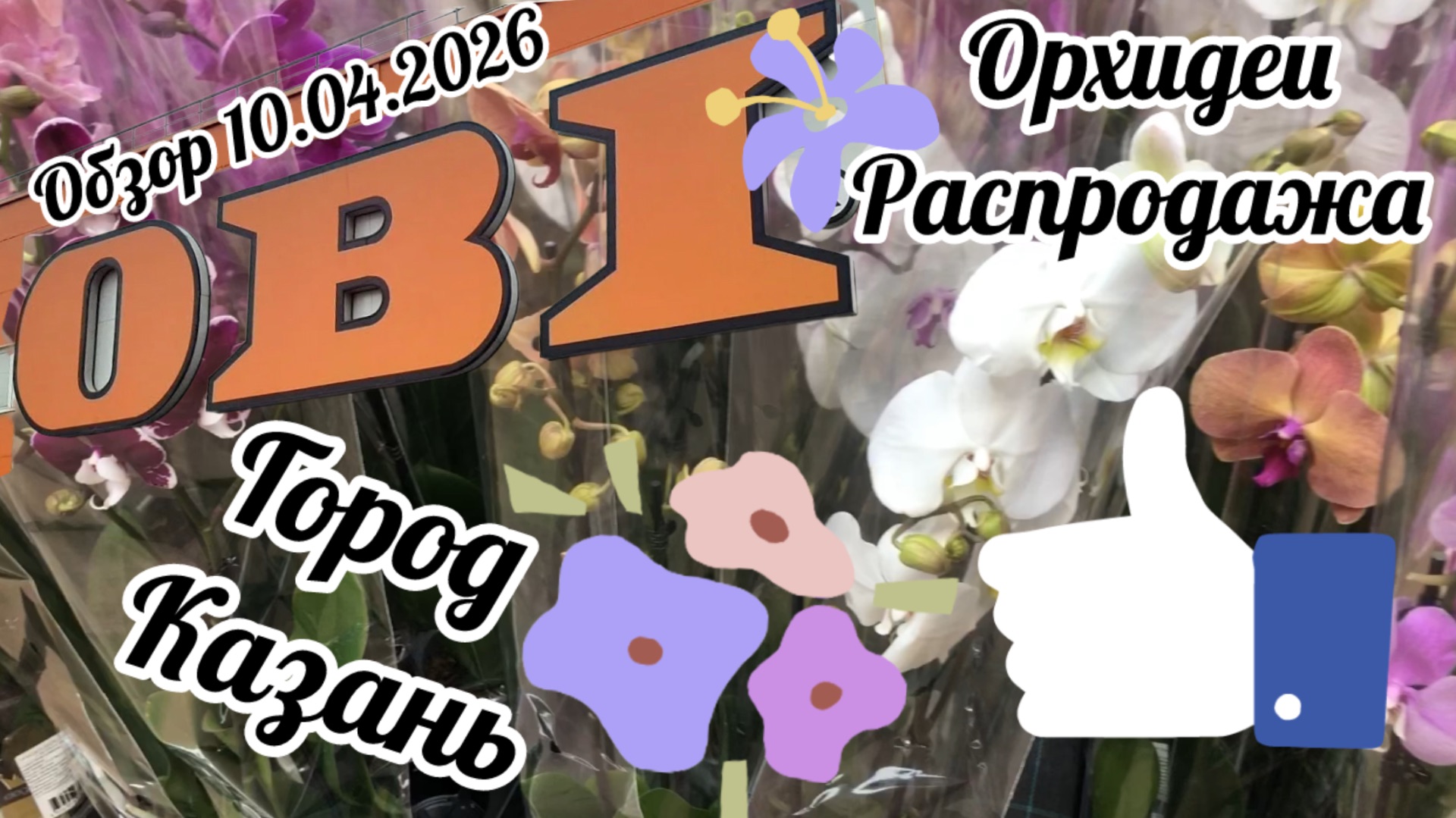 Распродажа орхидей. Обзор растений в магазине Оби Казань!