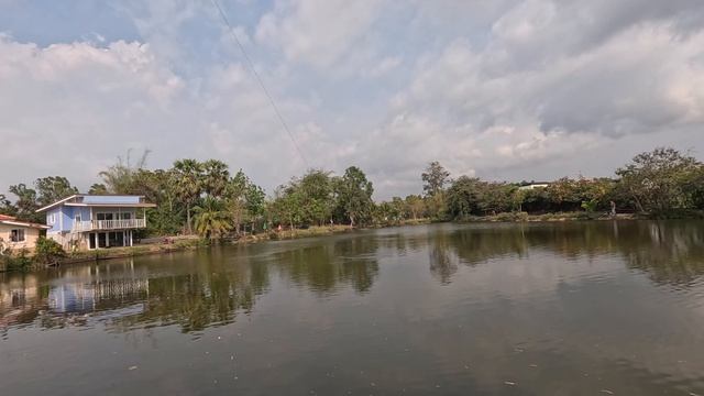 РЫБАЛКА в ТАЙЛАНДЕ --- озерная --- ночная на КАЛЬМАРА 🦑