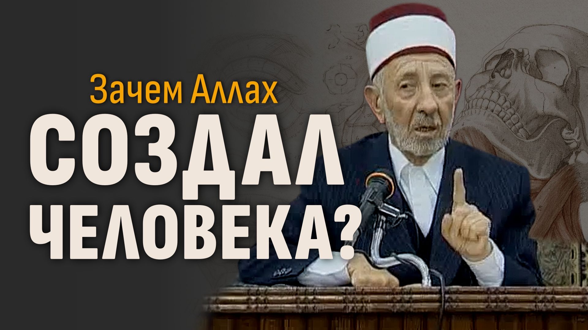 №192 Зачем Аллах создал людей? Зачем Рай и Ад? Как это — наместник Бога на земле? | Рамадан аль-Буты