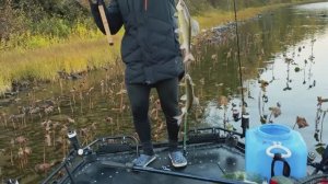 РЫБАЛКА ГОДА !! ОГРОМНЫЙ ХАРИУС