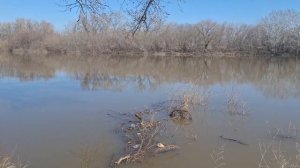 Вода прибывает у моста в Малом Чаусово Курган 11.04.2026