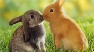 Детская,христианская песня,имбовая по теме!).