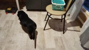 Христос Воскресе 🙏 Всех с праздником. Готовлю ужин. И наслаждаюсь тишиной 💃