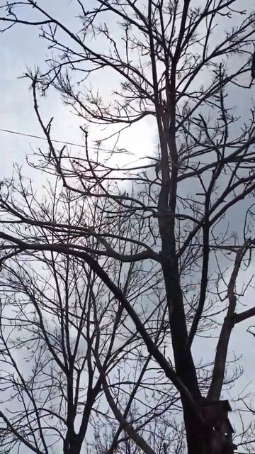 После дождичка