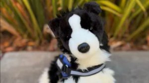 Влог с Элис на улице