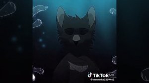 СИНЯЯ ЗВЕЗДА🌠