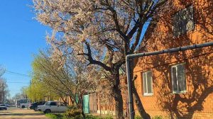 Мы маргиналы и алкаши, по версии двух сплетников из Ейска!