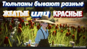 БДО. Black Desert. Выращивание тюльпанов для особняка своими руками