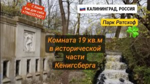 🌳Комната в районе Ратсхоф (Калининград)