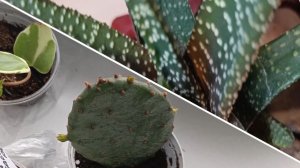 С наступающим праздником! Мои новиночки!