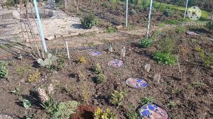 За день до Пасхи.Влог 11.04.26.