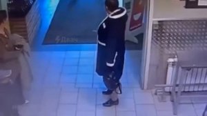 Её боялись даже алабаи: бесстрашная кошка терроризирует собак в московском супермаркете

Кошечка Лар