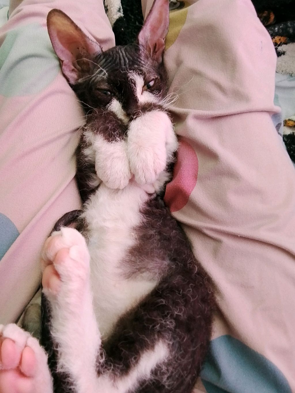 танцую на кровати снова