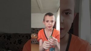 Раптор мой ящер