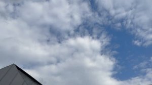 Вечерний гон 2026