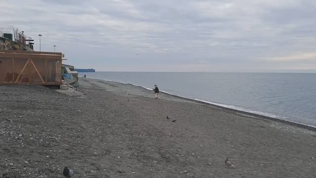 Сочи Адлер 2 апреля 😎Шикарный пляж Сочифорния у реки Мзымта! Сауна у моря 🔥Обстановка в Сочи 2026