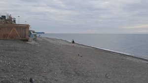 Сочи Адлер 2 апреля 😎Шикарный пляж Сочифорния у реки Мзымта! Сауна у моря 🔥Обстановка в Сочи 2026