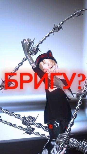 Ну да, БРИГУ???