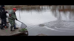 Светлые Горы Форель4 11.04.2026г.